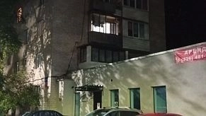 В Истре из пневматики ранили собаку