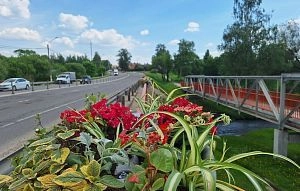 На Волоколамском шоссе при въезде в Истру создают красоту