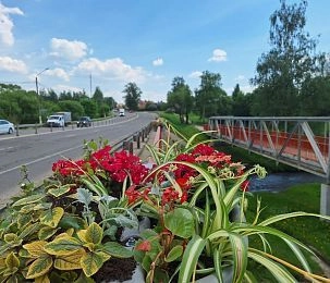 На Волоколамском шоссе при въезде в Истру создают красоту