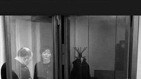 После самоубийства Галицкой в ИВС Истры прошла судебно-медицинская экспертиза