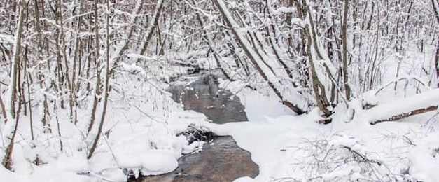 Вблизи реки Разварня в Колшино построят гостиничный комплекс 