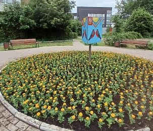 Сорняки на главной клумбе Снегирей сменил тагетес
