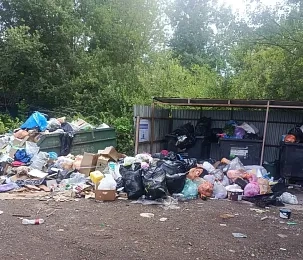 Жители Алёхново устали от вечной свалки