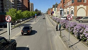 Истринцы предлагают сделать улицу 9 Гвардейской Дивизии комфортной и зелёной