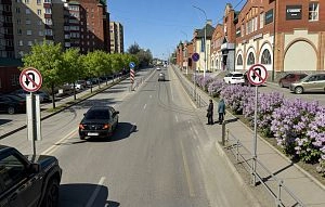 Истринцы предлагают сделать улицу 9 Гвардейской Дивизии комфортной и зелёной