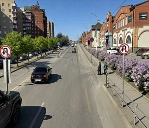 Истринцы предлагают сделать улицу 9 Гвардейской Дивизии комфортной и зелёной