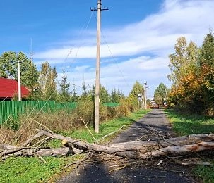 Штормовой ветер в Московском регионе