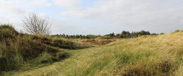 С начала года в  Истре ушли с молотка три  участка