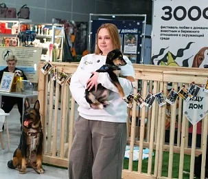 В Красногорске состоится фестиваль любви к домашним животным