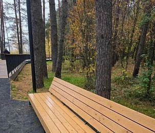 Скамейки в лесопарке «Новая Массовка» пострадали от вандализма