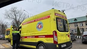 Истринская городская прокуратура взяла под контроль расследование уголовного дела о нападении собак на ребёнка в деревне Павловское