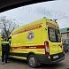 Истринская городская прокуратура взяла под контроль расследование уголовного дела о нападении собак на ребёнка в деревне Павловское