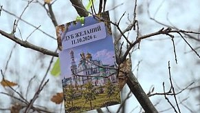 В Гефсиманском саду высадили «дубы желаний»: инклюзивная акция объединила детей из хосписа и их друзей