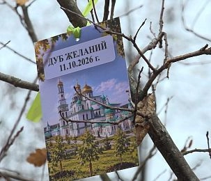 В Гефсиманском саду высадили «дубы желаний»: инклюзивная акция объединила детей из хосписа и их друзей