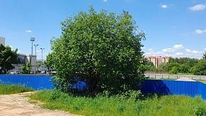 Горячее водоснабжение нового спорткомплекса в Истре обойдётся в 15 миллионов