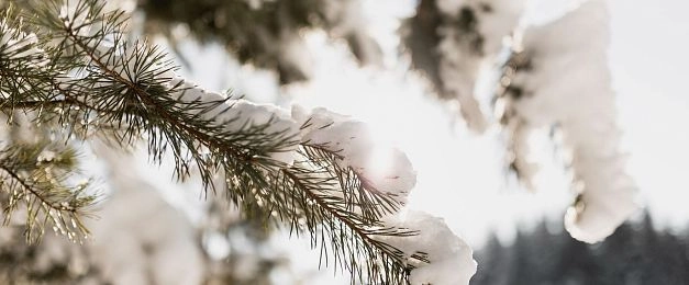 Метеорологическая зима в Подмосковье начнётся 10 ноября