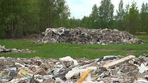 Тонны мусора останутся на поле близ Вельяминово до середины лета