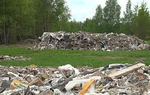 Тонны мусора останутся на поле близ Вельяминово до середины лета