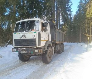 Благоустройство в Алёхново: «От лыжни не осталось ничего — по лесу ездят самосвалы»