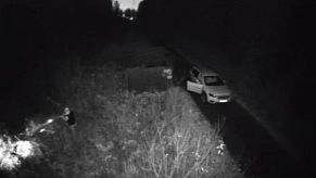 Преступление в Истре: незаконный отстрел кабанов