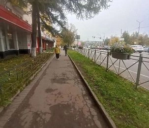 Цветы есть, пройти негде: парадокс благоустройства на улице 9‑й Гвардейской дивизии