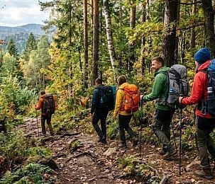 Как не превратить лесной отдых в испытание: советы эксперта