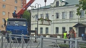 150 тысяч цветов высадили в Истре