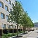 Городские работы и стихийное движение людей в Истре