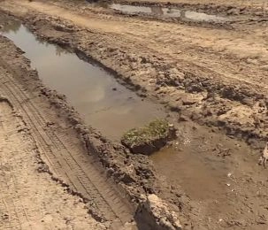 Ещё 17 многодетных семей в Истре получили землю