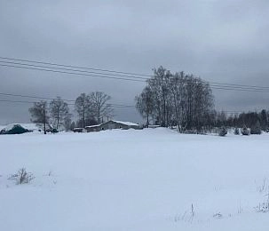  В Синево предлагается в аренду участок без коммуникаций для сельхозпроизводства за 450 тысяч рублей