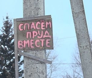 В Дедовске жители пытаются остановить загрязнение пруда 