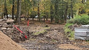 Ильича вернут в Снегири помолодевшим