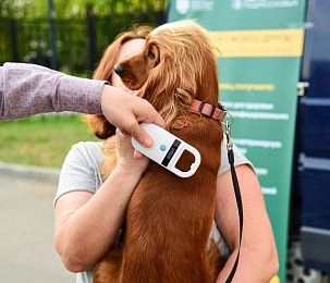 В Истринском парке пройдёт выездная вакцинация животных