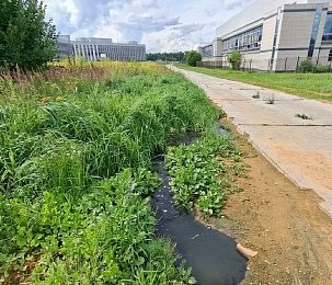 Вонючие стоки подбираются к реке Песочной