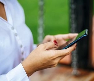 Более 80 % госуслуг Минэкологии Подмосковья перевели в онлайн