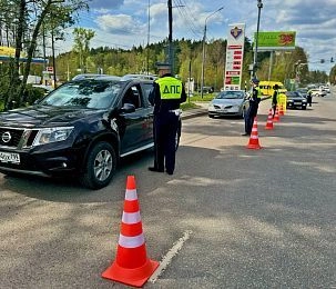 Инспекторы ДПС проведут несколько массовых рейдов в Истре