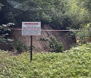 Аварийному оврагу в парке Истры дадут экспертную оценку