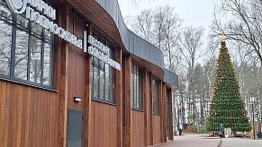 16-метровую ель установили в лесопарке «Соколиная гора»