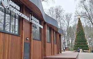 16-метровую ель установили в лесопарке «Соколиная гора»