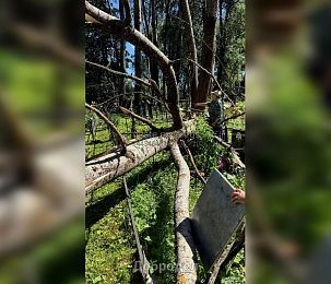 Сильный ветер разрушил десятки захоронений в Назарово