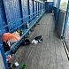 В Курсаково любители выпить облюбовали спортивную площадку