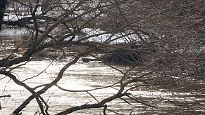 Истринцы пишут о жизни стихами, журналисты — читают