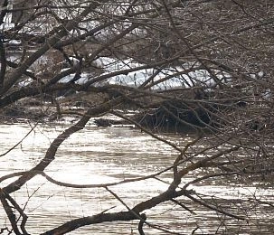 Истринцы пишут о жизни стихами, журналисты — читают