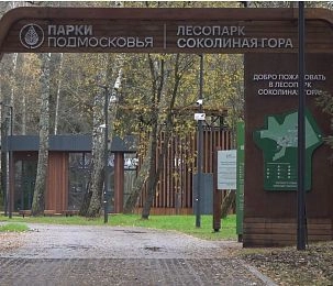 На обработку от клещей шести истринских парков и пляжа выделено свыше миллиона рублей