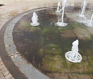 Фонтан в сквере Глебовского стал болотом