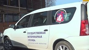 Бесплатная вакцинация от бешенства: как прошёл выезд в Вельяминово