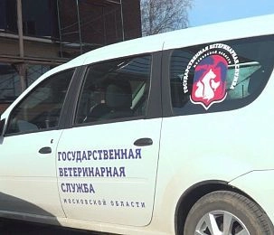 Бесплатная вакцинация от бешенства: как прошёл выезд в Вельяминово