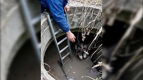 «Истранет» держит сеть без сбоев