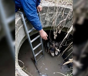«Истранет» держит сеть без сбоев