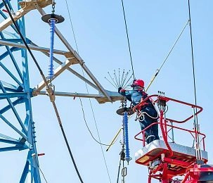 В Истринском округе установят 357 птицезащитных устройств